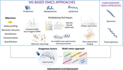Challenges and perspectives in MS-based omics approaches for ecotoxicology studies: An insight on Gammarids sentinel amphipods